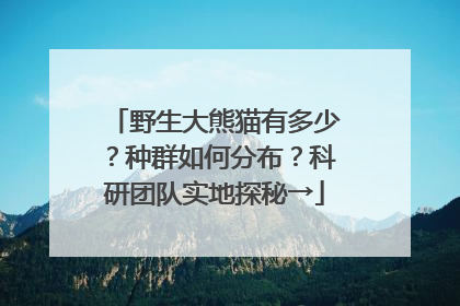 野生大熊猫有多少？种群如何分布？科研团队实地探秘→