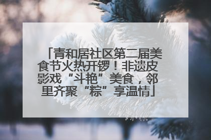 青和居社区第二届美食节火热开锣！非遗皮影戏“斗艳”美食，邻里齐聚“粽”享温情