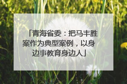 青海省委：把马丰胜案作为典型案例，以身边事教育身边人