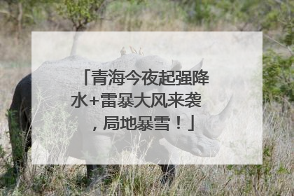青海今夜起强降水+雷暴大风来袭，局地暴雪！