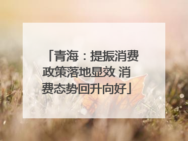 青海：提振消费政策落地显效 消费态势回升向好