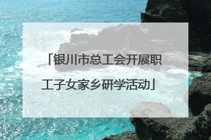 银川市总工会开展职工子女家乡研学活动
