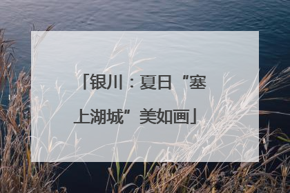 银川：夏日“塞上湖城”美如画