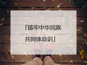 铸牢中华民族共同体意识