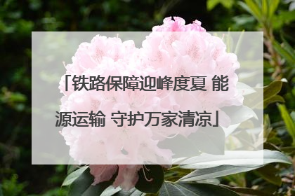 铁路保障迎峰度夏 能源运输 守护万家清凉