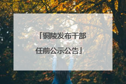 铜陵发布干部任前公示公告