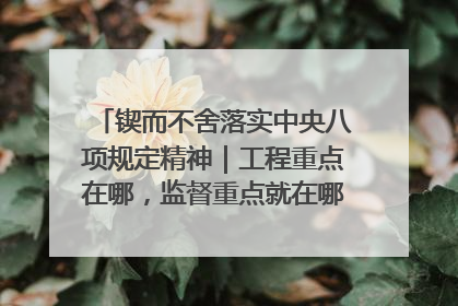 锲而不舍落实中央八项规定精神｜工程重点在哪，监督重点就在哪——广西深化政治监督护航平陆运河建设