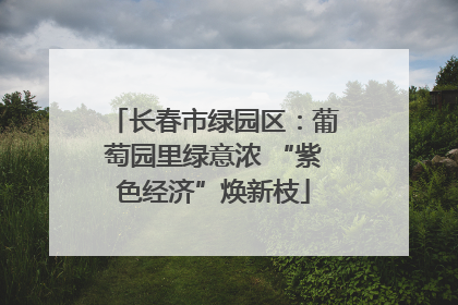 长春市绿园区：葡萄园里绿意浓 “紫色经济”焕新枝