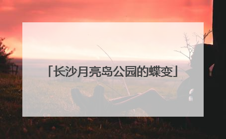 长沙月亮岛公园的蝶变