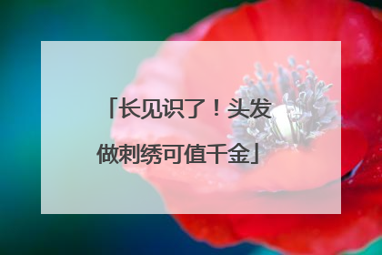 长见识了！头发做刺绣可值千金