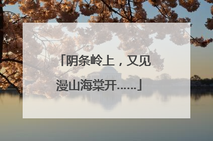 阴条岭上，又见漫山海棠开……