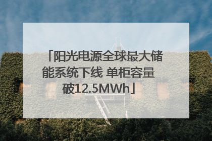 阳光电源全球最大储能系统下线 单柜容量破12.5MWh