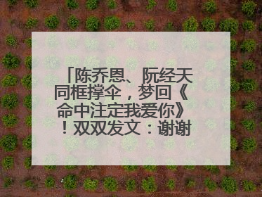 陈乔恩、阮经天同框撑伞，梦回《命中注定我爱你》！双双发文：谢谢我们都没变
