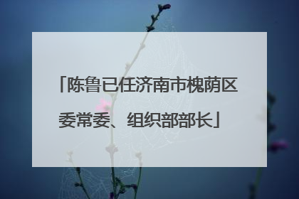 陈鲁已任济南市槐荫区委常委、组织部部长