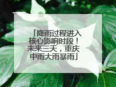 降雨过程进入核心影响时段！未来三天，重庆中雨大雨暴雨