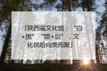 陕西省文化馆：“白+黑”“馆+景”，文化供给向美而聚