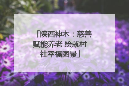 陕西神木：慈善赋能养老 绘就村社幸福图景