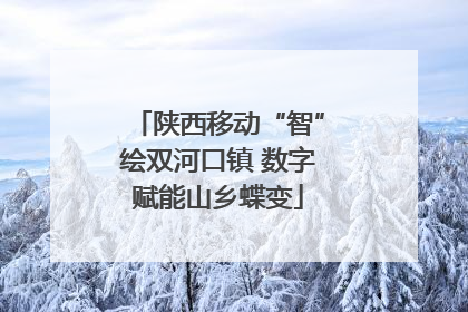 陕西移动“智”绘双河口镇 数字赋能山乡蝶变