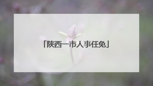 陕西一市人事任免
