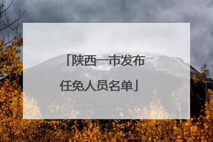 陕西一市发布任免人员名单