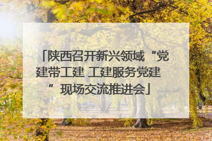 陕西召开新兴领域“党建带工建 工建服务党建”现场交流推进会