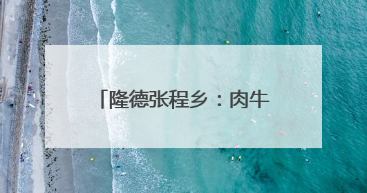 隆德张程乡：肉牛产业“牛劲”足 乡村振兴添活力