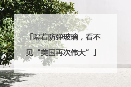 隔着防弹玻璃，看不见“美国再次伟大”