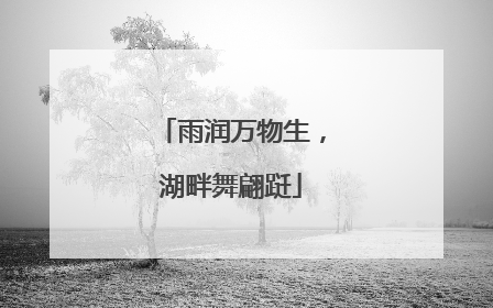 雨润万物生，湖畔舞翩跹