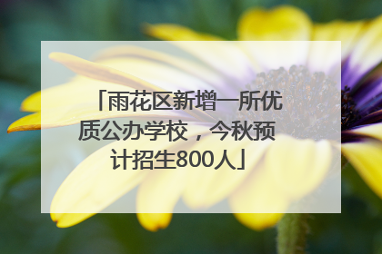 雨花区新增一所优质公办学校，今秋预计招生800人