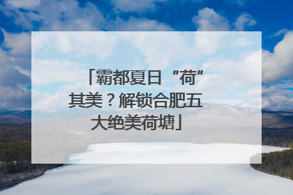 霸都夏日“荷”其美？解锁合肥五大绝美荷塘