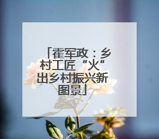 霍军政：乡村工匠“火”出乡村振兴新图景