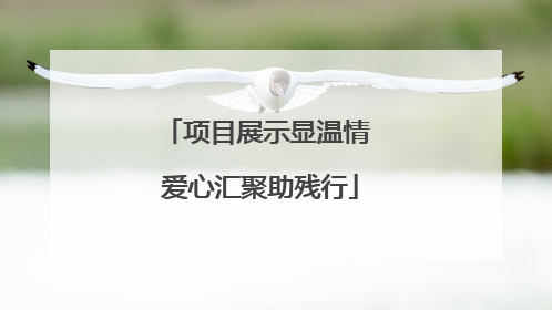 项目展示显温情 爱心汇聚助残行