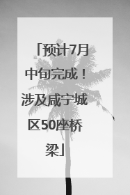 预计7月中旬完成！涉及咸宁城区50座桥梁