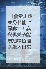 食堂走廊变身节能“绿廊”！嘉兴机关节能展把绿色理念融入日常