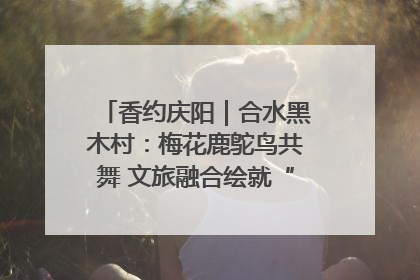 香约庆阳｜合水黑木村：梅花鹿鸵鸟共舞 文旅融合绘就“诗与远方”