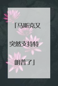 马斯克又突然支持特朗普了