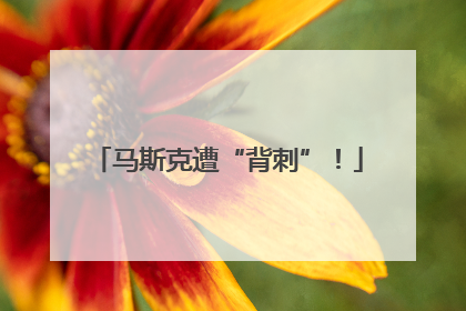 马斯克遭“背刺”！
