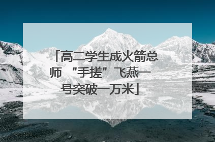 高二学生成火箭总师 “手搓”飞燕一号突破一万米