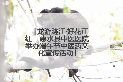 龙游涟江·好花正红—惠水县中医医院举办端午节中医药文化宣传活动