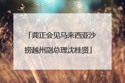龚正会见马来西亚沙捞越州副总理沈桂贤