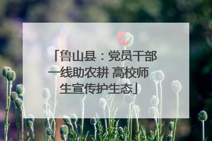 鲁山县：党员干部一线助农耕 高校师生宣传护生态