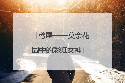 鸢尾——莫奈花园中的彩虹女神