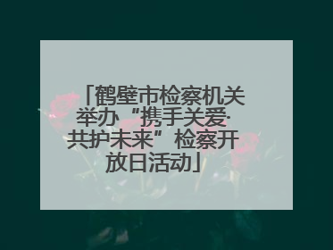 鹤壁市检察机关举办“携手关爱·共护未来”检察开放日活动