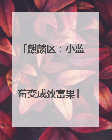 麒麟区：小蓝莓变成致富果