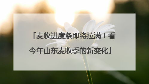 麦收进度条即将拉满！看今年山东麦收季的新变化