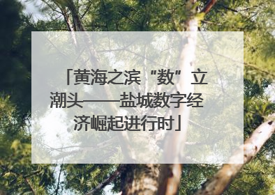 黄海之滨“数”立潮头——盐城数字经济崛起进行时