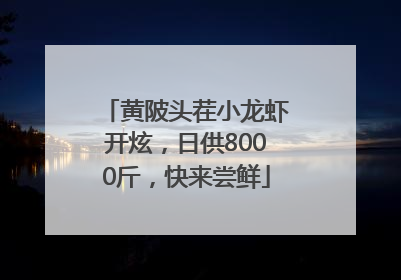 黄陂头茬小龙虾开炫，日供8000斤，快来尝鲜