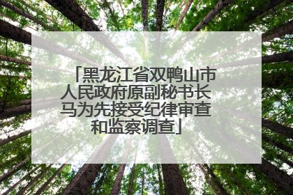 黑龙江省双鸭山市人民政府原副秘书长马为先接受纪律审查和监察调查
