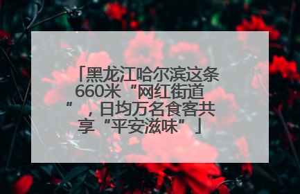 黑龙江哈尔滨这条660米“网红街道”，日均万名食客共享“平安滋味”