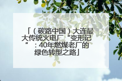 （碳路中国）大连最大传统火电厂“变形记”：40年燃煤老厂的绿色转型之路